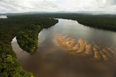 El Esequibo, la mayor disputa territorial de América - EFEverde