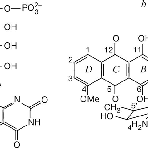 Calculated structure of the 1:1 heterocomplex of flavin mononucleotide ...