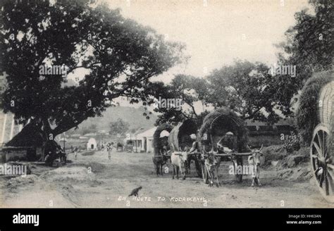 Kodaikanal hill station, Tamil Nadu, India Stock Photo - Alamy