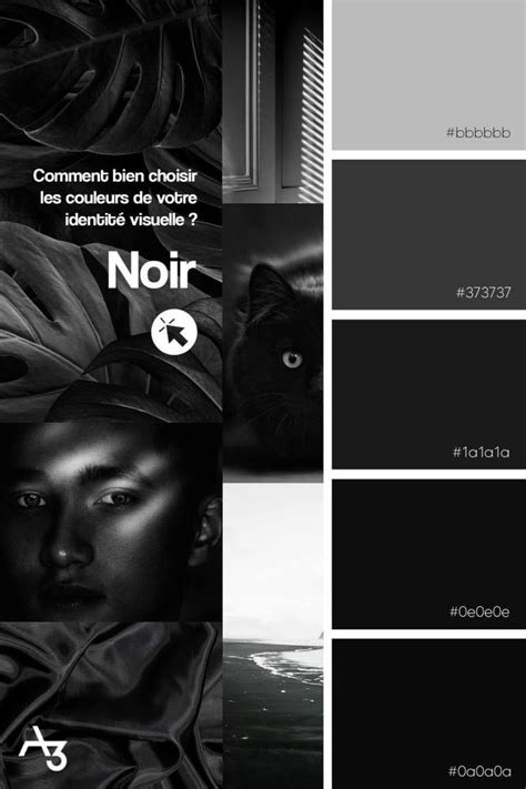 comment-bien-choisir-les-couleurs-de-son-identite-visuelle-noir | Identité visuelle, Planches de ...