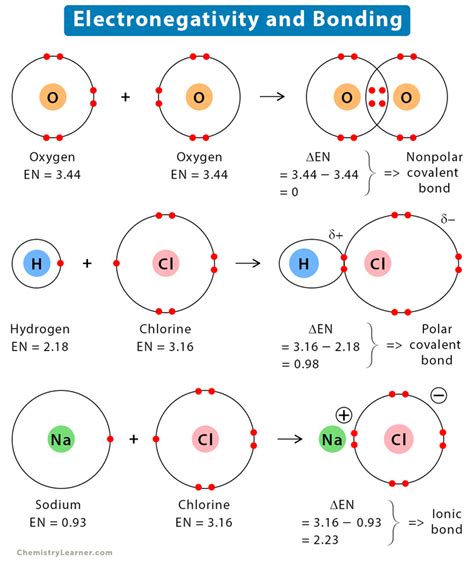 Electronegativity: Definition, Value Chart, and Trend in Periodic Table