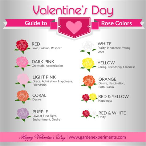 The Meaning of Rose Colors: A Valentine's Day Guide