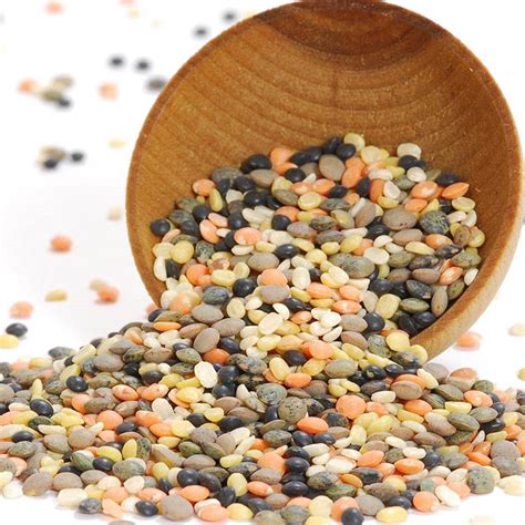 gourmetimports.com - Lentils - Autumn Blend, Dry, Special Order