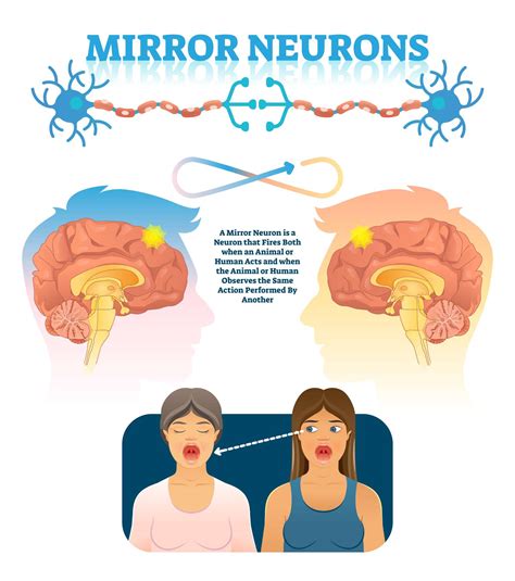 What Are Mirror Neurons, and How Do They Make Us More Empathetic?