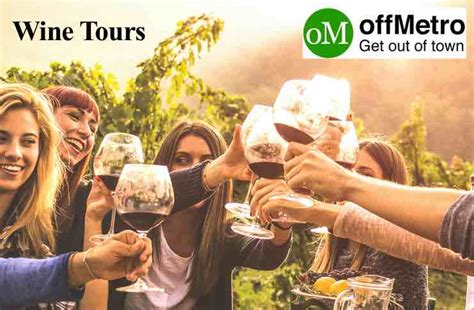 5 Best Wine Tours In New Zealand | offMetro World