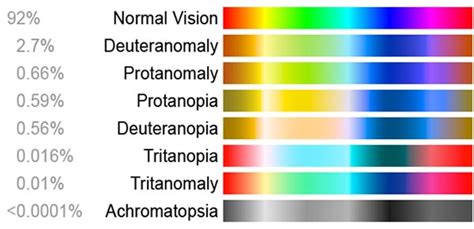 Understanding colour blindness - Lenstore