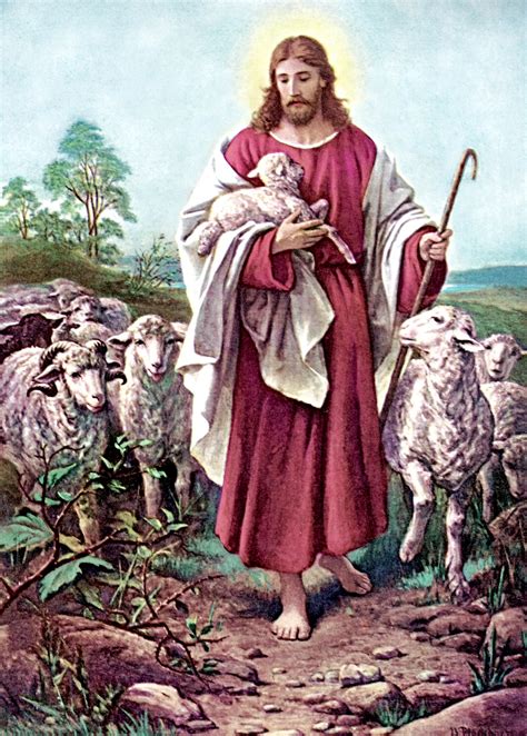 Jesus The Good Shepherd Free Stock Photo - Public Domain Pictures