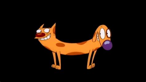 A Cat Dog Cartoon