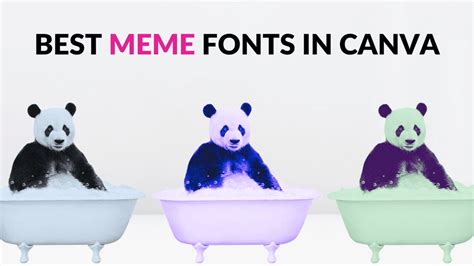 Best Meme Fonts in Canva - Blogging Guide