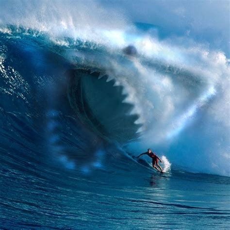 Shark Wave Water Surfing Ocean iPad Air Wallpapers Free Download