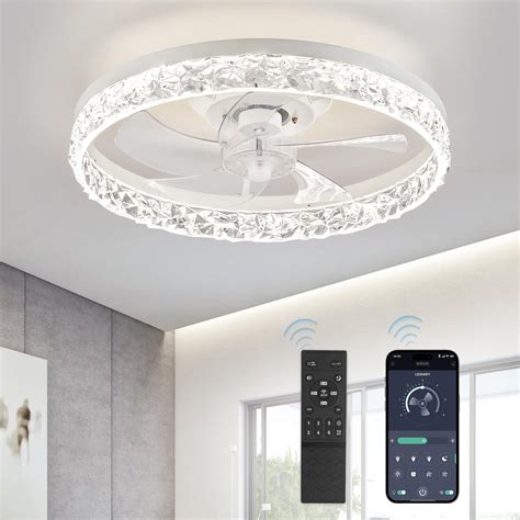 LEDIARY 20" Modern Ceiling Fans with Lights and Remote, Dimmable Low ...