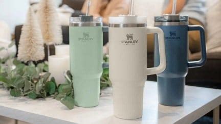 Are Stanley Cups Dishwasher Safe? Answered | The Mary Sue