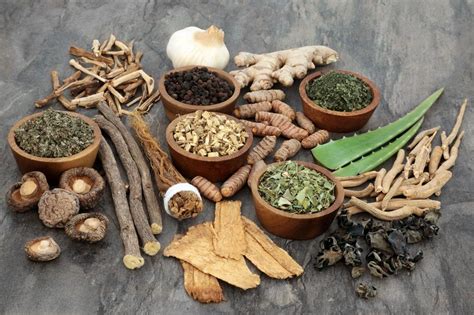 Functional Mushrooms: What Are Adaptogens? - PuraPhy