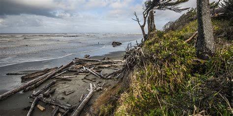 Kalaloch Campground | Outdoor Project