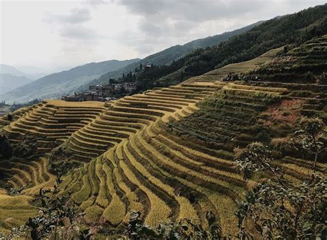 Touring The Guilin Rice Terraces