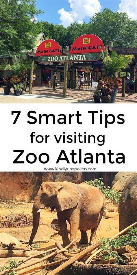 Heading to Zoo Atlanta? Then check out my Smart Tips for Visiting Zoo ...