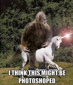 Funny Bigfoot Memes Funny Image Photo Joke 10 | QuotesBae