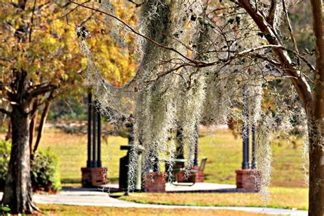 Explore the Atchafalaya National Heritage Area - RVing with Rex