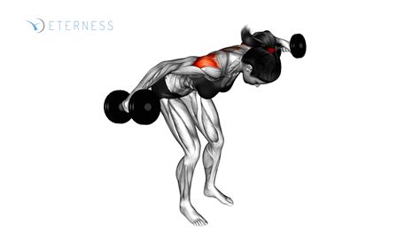 DUMBBELL REAR DELT FLY 2024