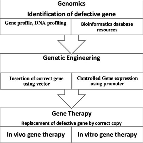 (PDF) Bioinformatics advances Genetic Engineering Applications in Gene Therapy: A Review