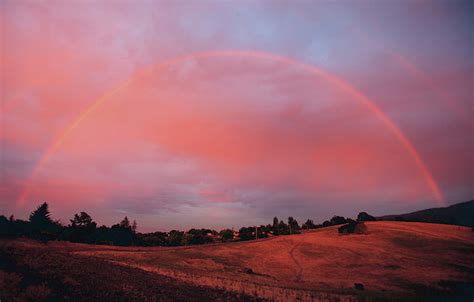 There Are Actually 12 Different Types Of Rainbow | IFLScience