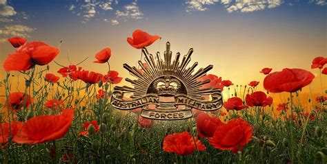 Download Flower Poppy Holiday Anzac Day Wallpaper