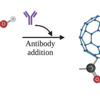 Carbon nanostructures. Examples of carbon nanostructures and their... | Download Scientific Diagram