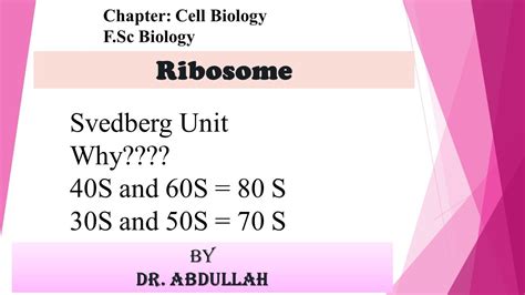 How 40S and 60S ribosomes make 80S in Eukaryotes; and 30S and 50S make ...