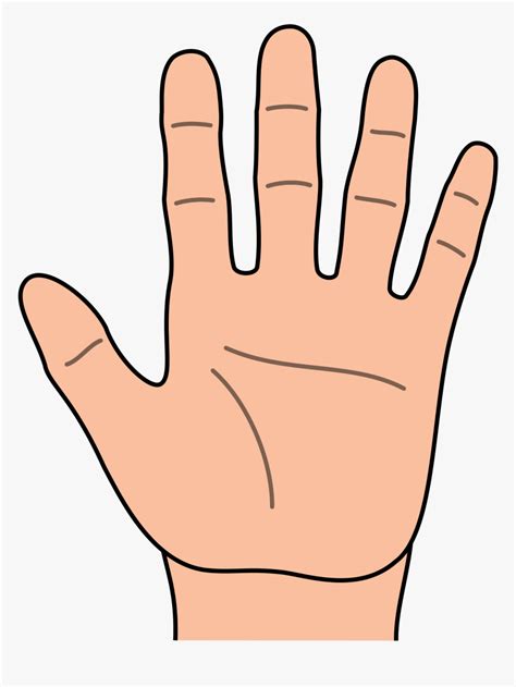 Handprint Outline Hand Outline 2 Hands Template Clipart - Hand Clipart, HD Png Download ...