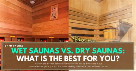 Wet Saunas vs. Dry Saunas: What is the Best Choice for You? - Shym Saunas