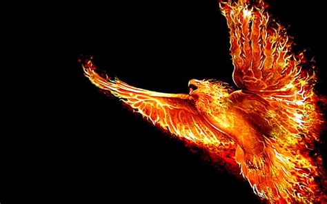 HD wallpaper: birds, fire, phoenix, Phoenix FireBird, Pontiac Firebird | Wallpaper Flare