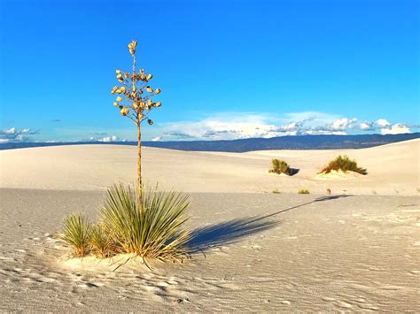 White Sands - iPhone | Alamogordo NM | Jim Nix | Flickr