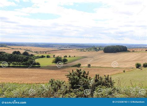 Cranbourne Chase stock image. Image of grid, pentridge - 212328743