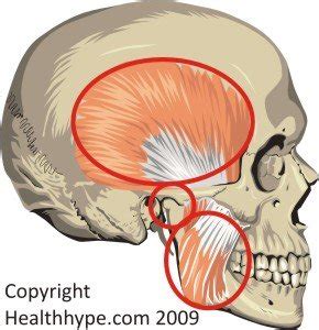 Clicking Jaw, Jaw Pain & TMJ Dysfunction Causes and Treatment ...