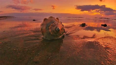 Some of the Best Outer Banks Beaches | Outer Banks Concierge