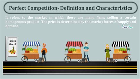 Perfect Competition- Definition and Characteristics - Tutor's Tips