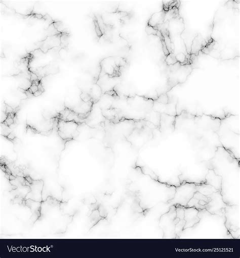 White marble texture background Royalty Free Vector Image