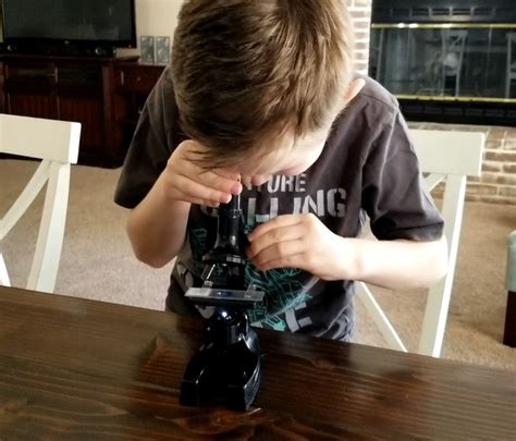 Microscope Activities for Kids - Fun Experiments Kids Will Love - STEM ...