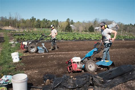 The Top 5 Tools for Every Market Garden - The Market Gardener