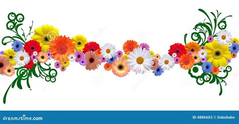 Flower line stock illustration. Illustration of fresh - 4886603