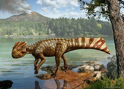 Species New to Science: Ceratopsidae | Prehistoric, Prehistoric animals ...