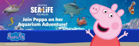 Peppa's Aquarium Adventure | Sea Life Arizona