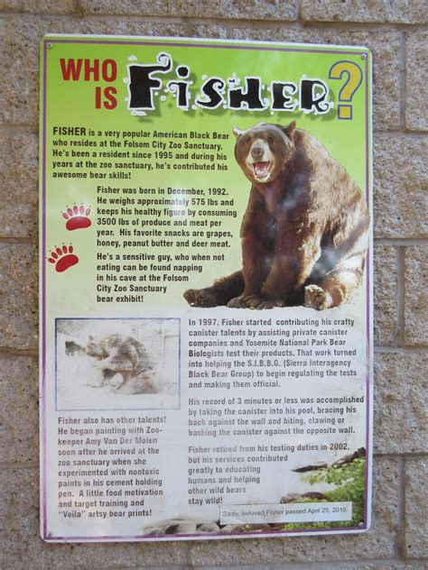 Fisher - a famous zoo animal - ZooChat