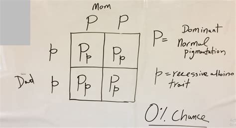 How to Predict Phenotype Using Punnett Square - Food Science Toolbox