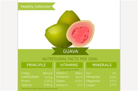 Guava Nutritional Facts | Food Illustrations ~ Creative Market