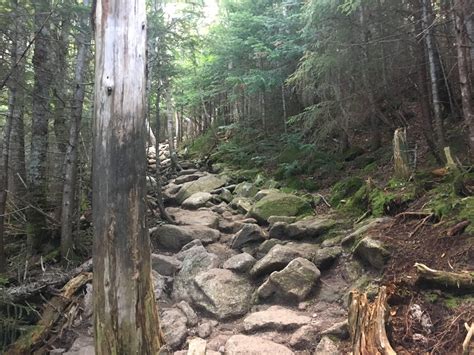 New England hiking at its finest! Falling Waters trail Franconia New Hampshire #hiking #camping ...