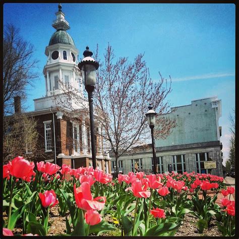 THE 15 BEST Things to Do in Danville (2024) - Must-See Attractions