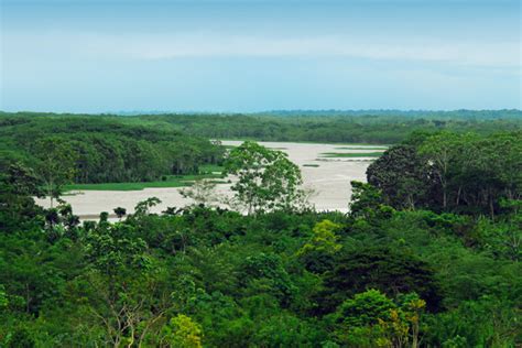 Peru: Amazon River