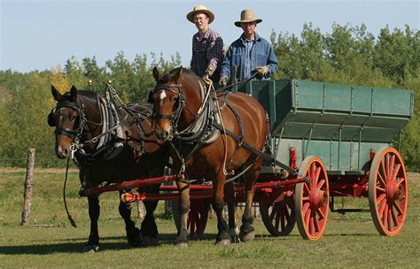 Horse Drawn Wagon by Jack Dagley