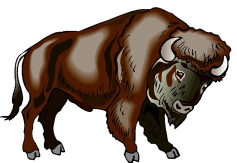 Download High Quality buffalo clipart bison head Transparent PNG Images ...